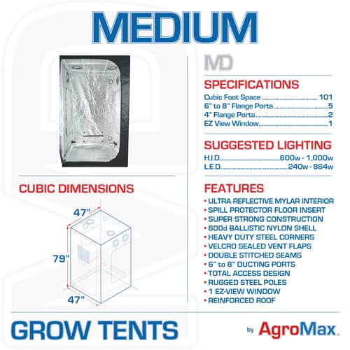 Medium Tent