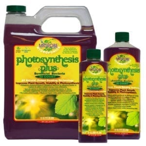 Microbe Life Photosynthesis