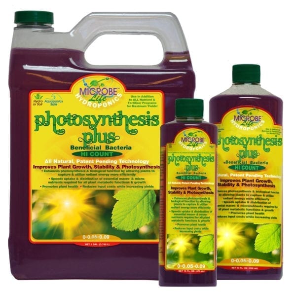Microbe Life Photosynthesis