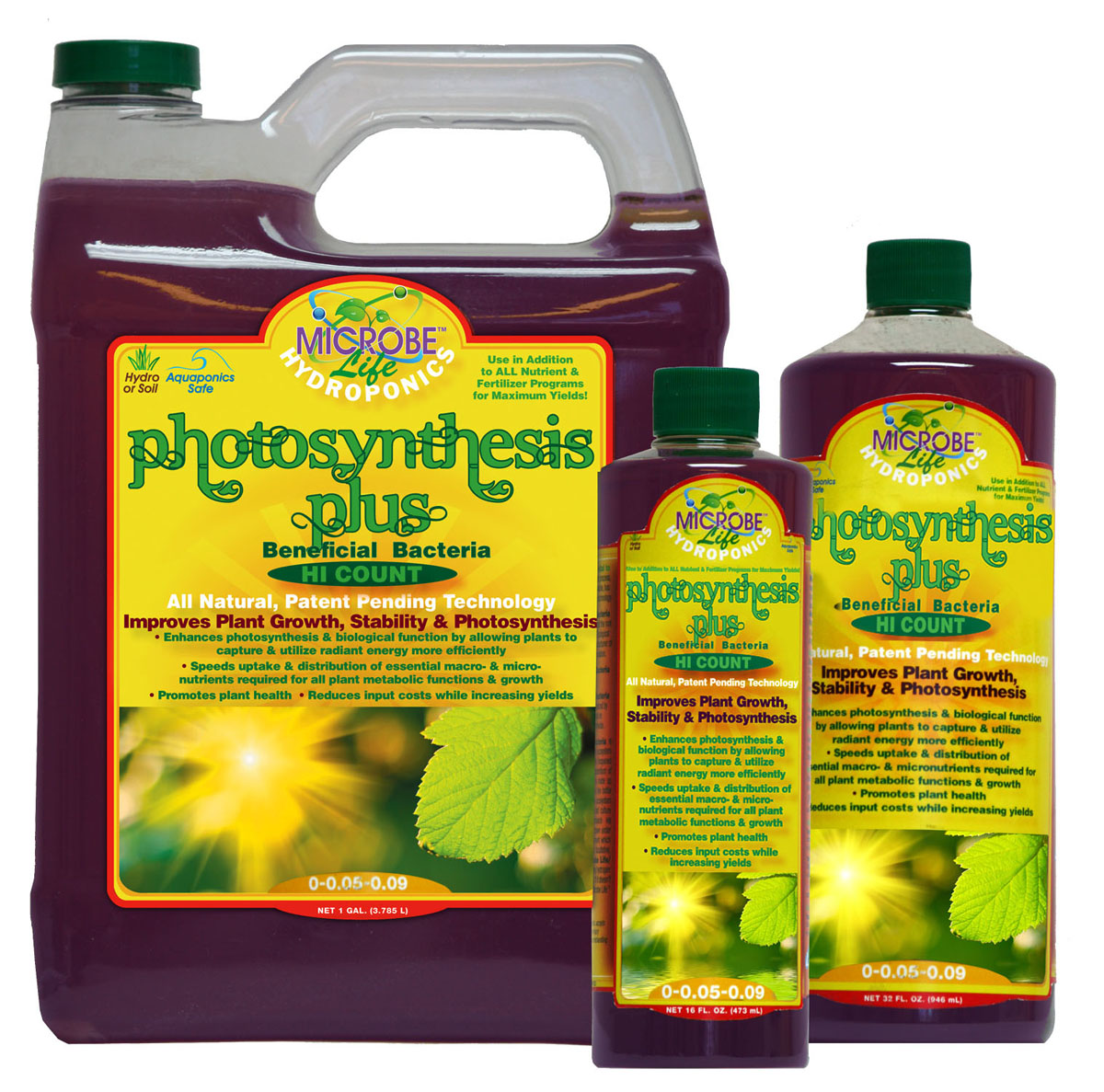 Microbe Life Photosynthesis
