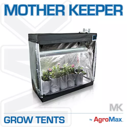 Mother Keeper