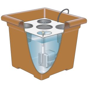 DWC System