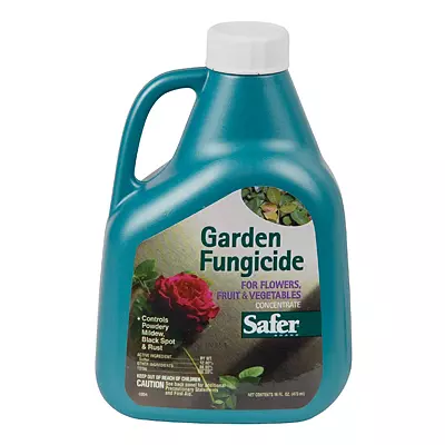 Safer Fungiside Pt Gallery