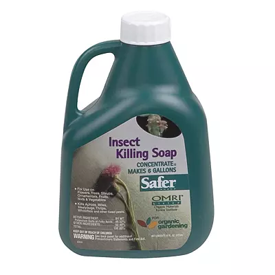 Safer Insect Killing Soap Gallery