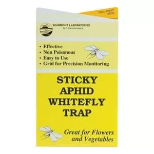 Sticky Trap   Yellow Gallery