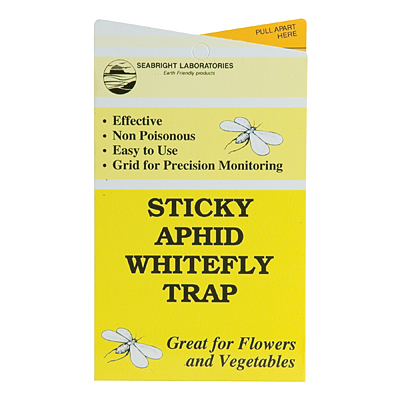 Sticky Trap   Yellow Gallery