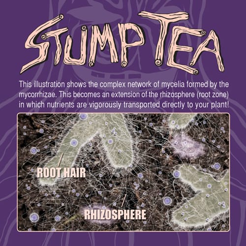 Stump Tea Rhizosphere