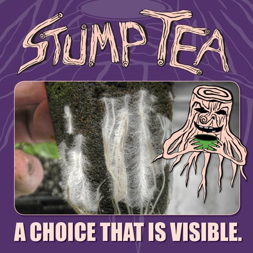 Stump Tea Roots