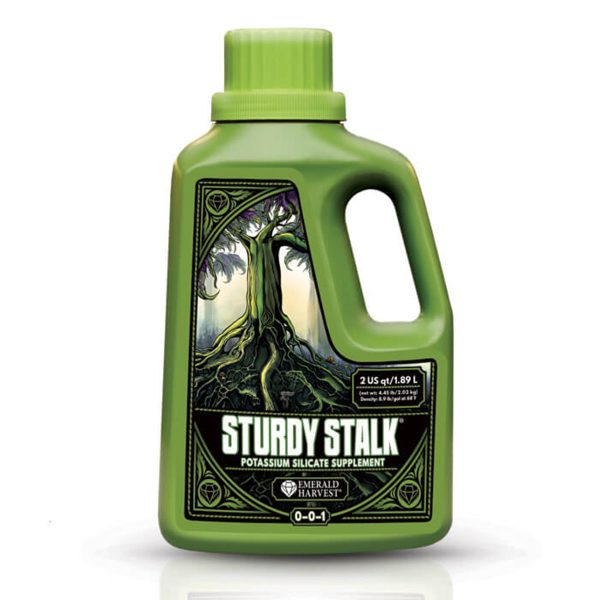 Sturdy Stalk 2 Quart