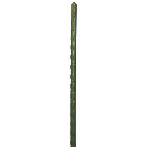 Support Stake