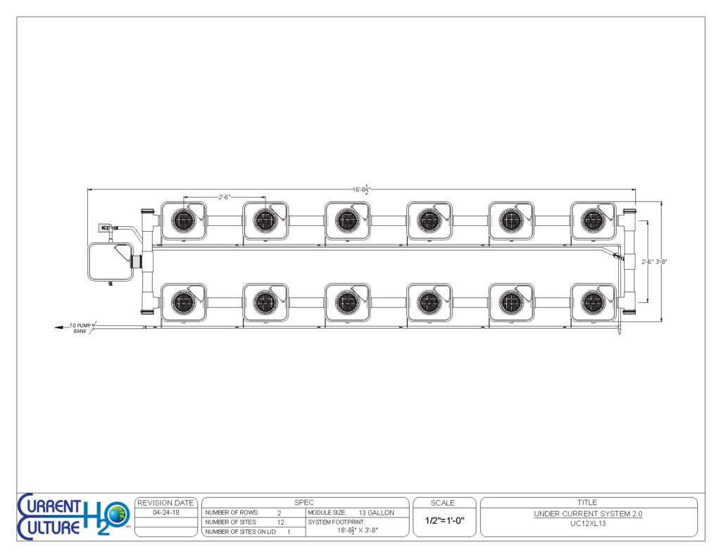 Under Current 12Xl13 Layout
