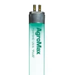Uva plus t5
