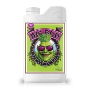 Adv Bigbud
