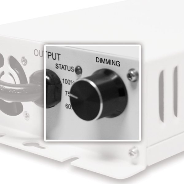 Ag Hif 1000W Ballast