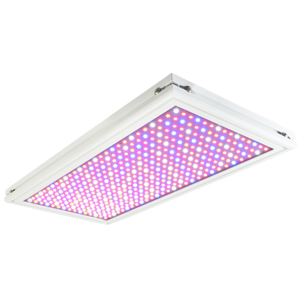 Ag Otd 84 Led