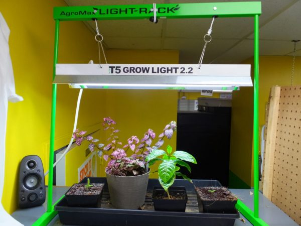 Agromax 2 Foot Grow Light Rack Setup