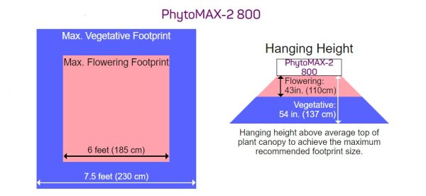 Black Dog Phytomax 2 800 Coverage