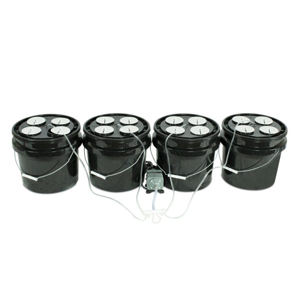 Bubble Brothers 4X4 Dwc Bucket System Setup