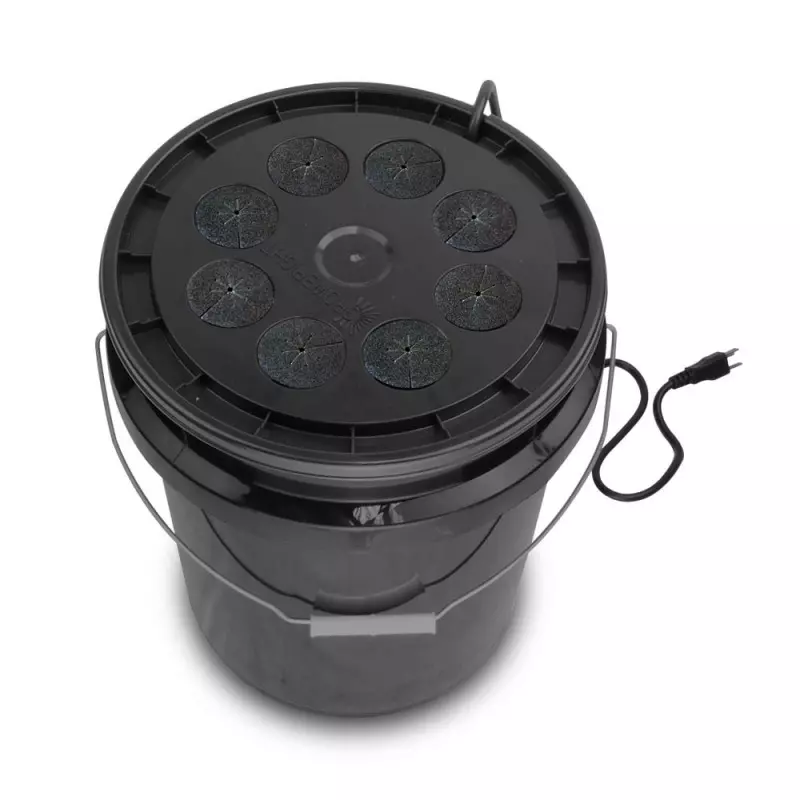 Cloner Bucket