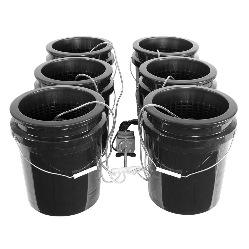 Dwc Hydroponic Kit 5 Gallon Bubble Brothers Xl Setup
