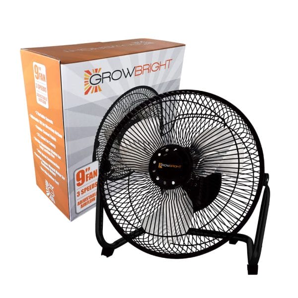 Gb 9 Fan W Box