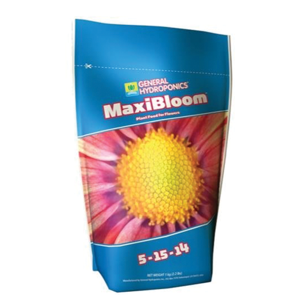 Gh Maxibloom