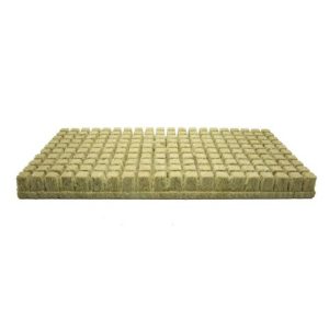 Grodan A Ok Starter Plugs 1 Inch