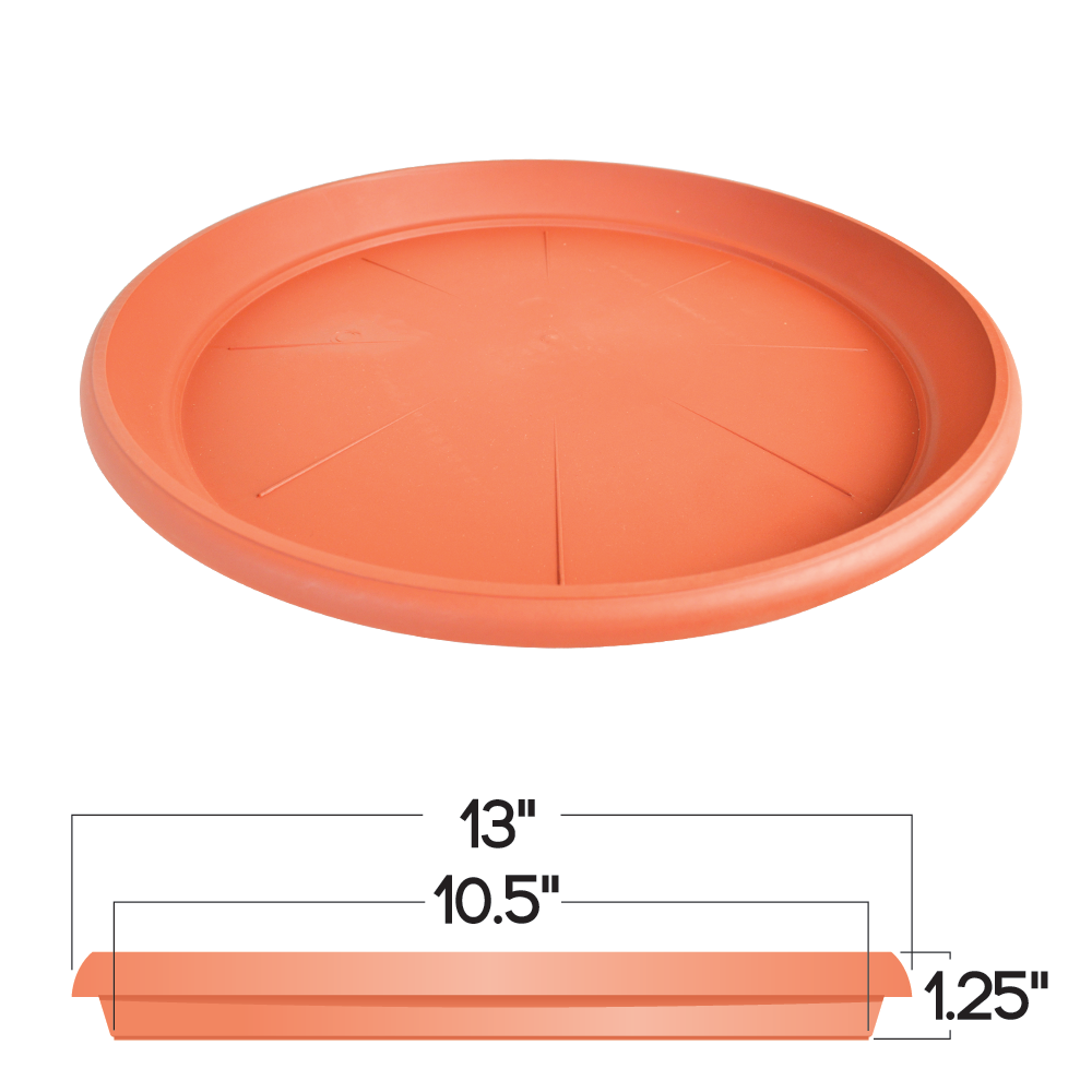 Hd Saucer 13Dim