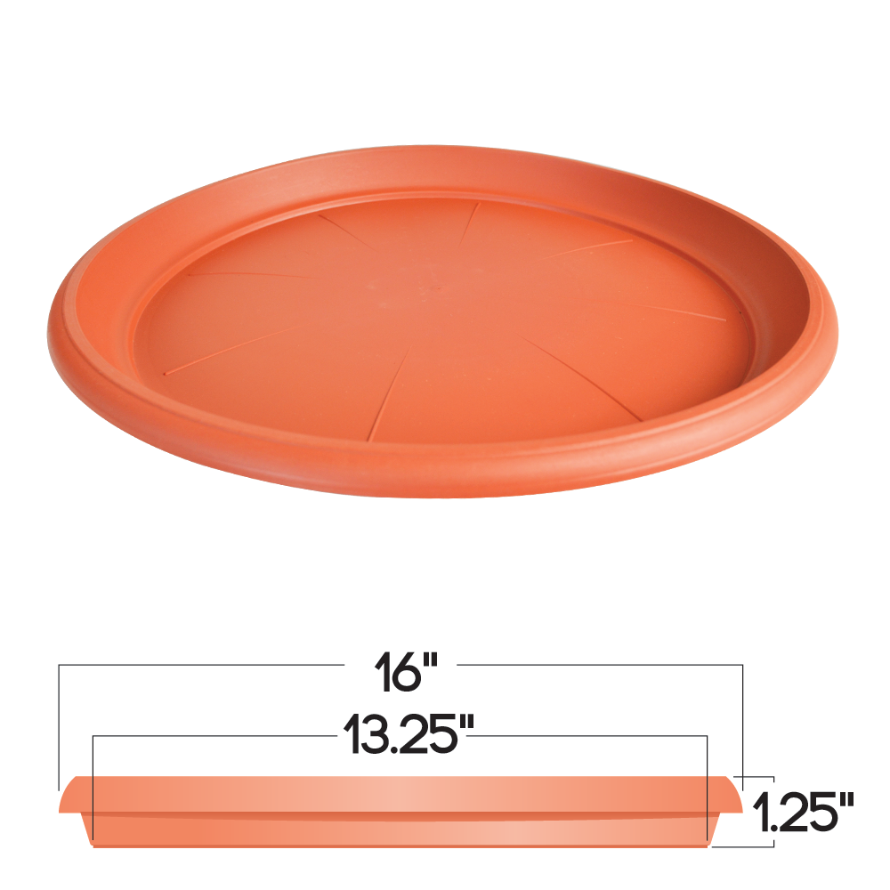 Hd Saucer 16Dim