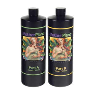 Hdi Motherplant