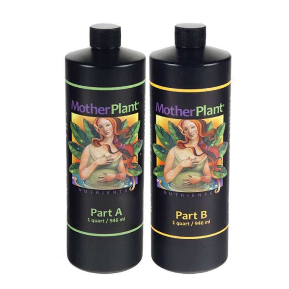 Hdi Motherplant