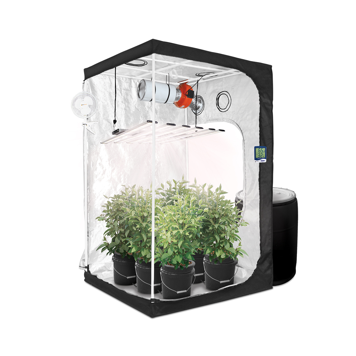 4x4 grow tent setup led deals