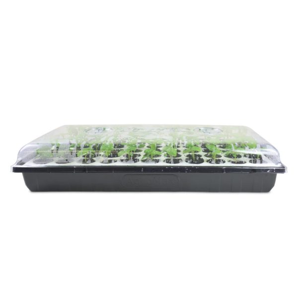 Htg Supply Seed Starter Kit Propagation Kit
