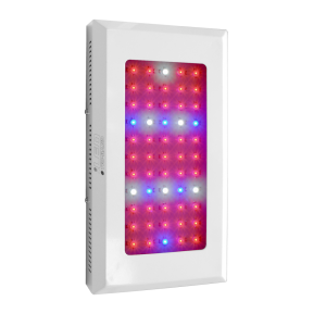 Led Triband 165