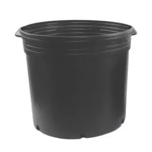  Kord  5 5 Square Plastic  Nursery Pot  HTG Supply