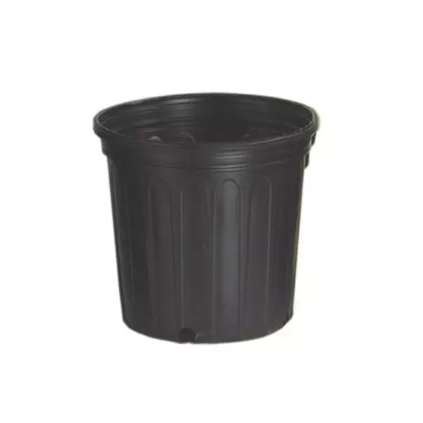Nursery Pot 2Gal