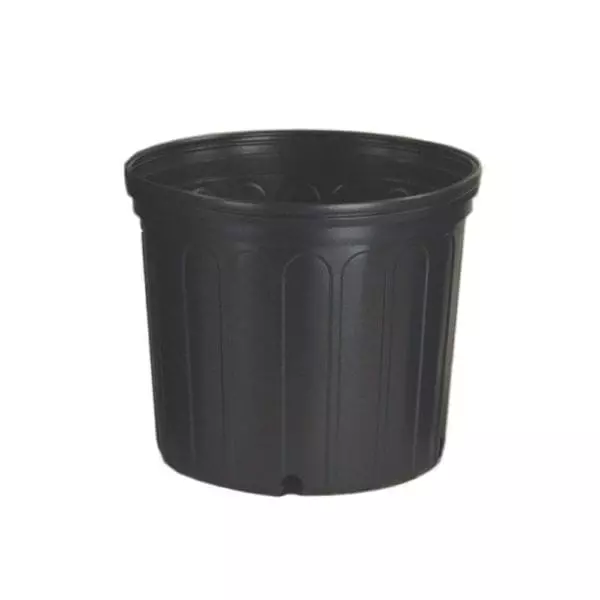 Nursery Pot 3Gal