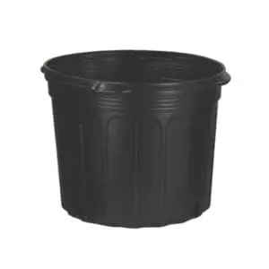 Nursery Pot 7Gal
