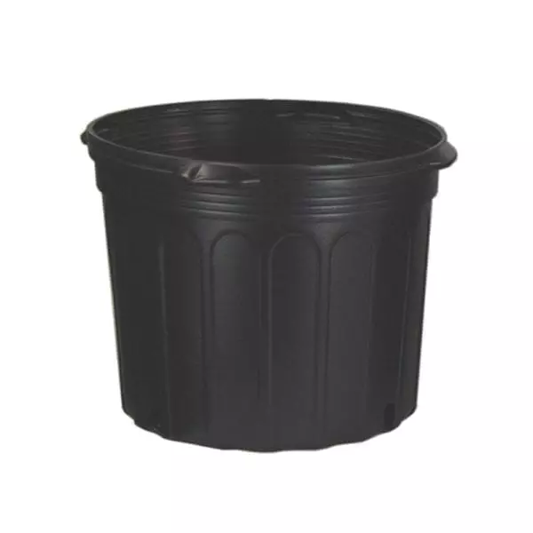 Nursery Pot 7Gal