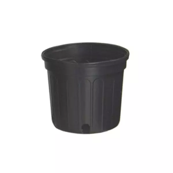 Nursery Pot Gal