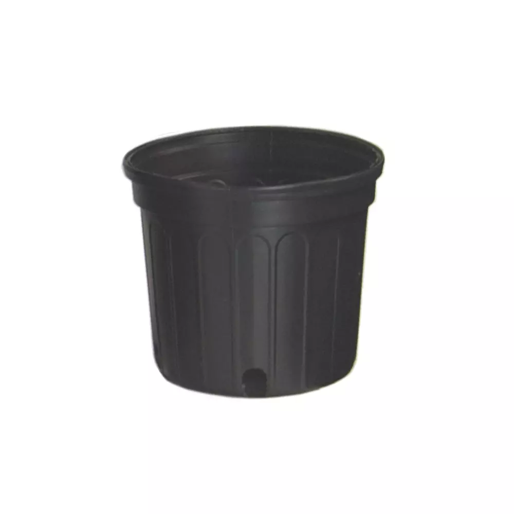 Large Plastic Tubs - 1 Gallon Round Tubs