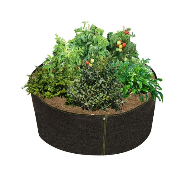 Phat Sacks 100 Gal 200 Gallon With Plants