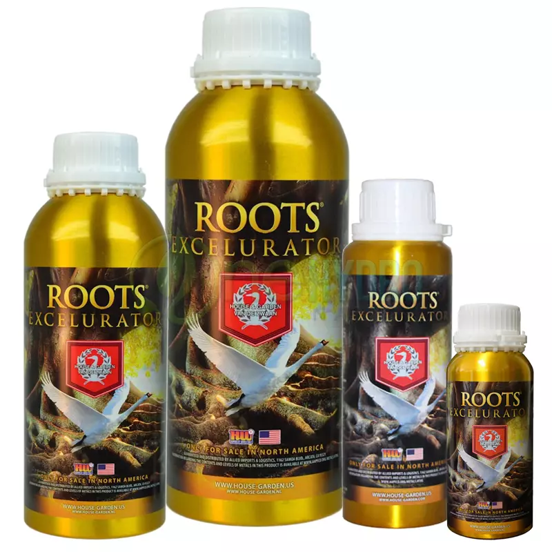 Roots Excelurator Gold