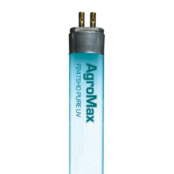 T5 Pureuv 24