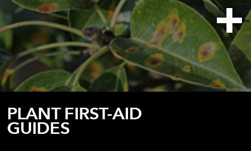 Plant First-Aid Guides