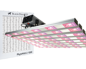 Commercial LED Grow Lights