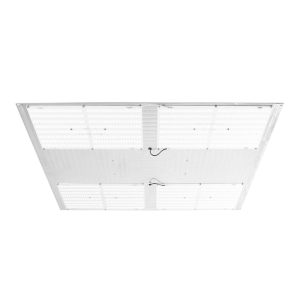 Agromax Raw 550 Full Spectrum Led