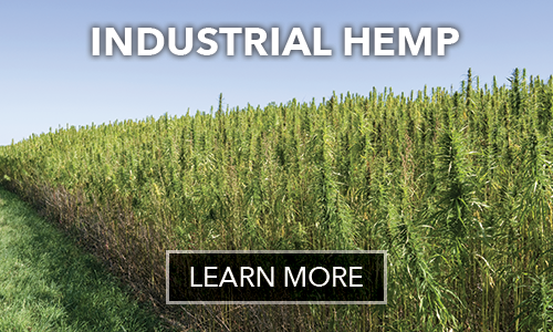 Industrial Hemp
