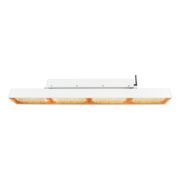 Gb Novaforce Long Low Lit