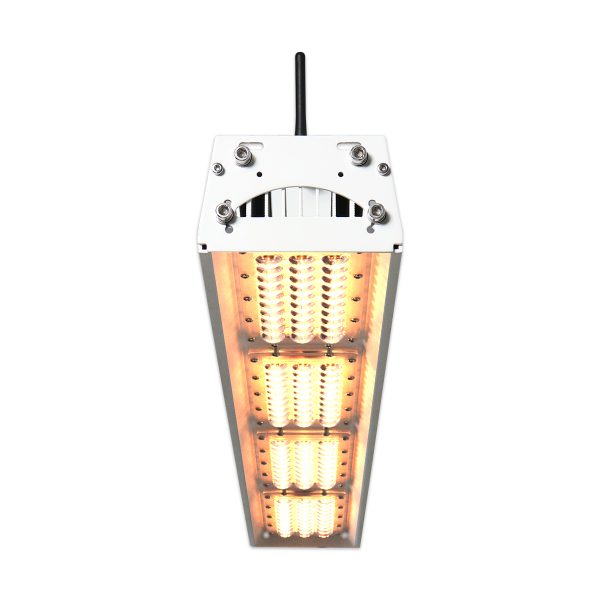 Gb Novaforce Short Low Lit
